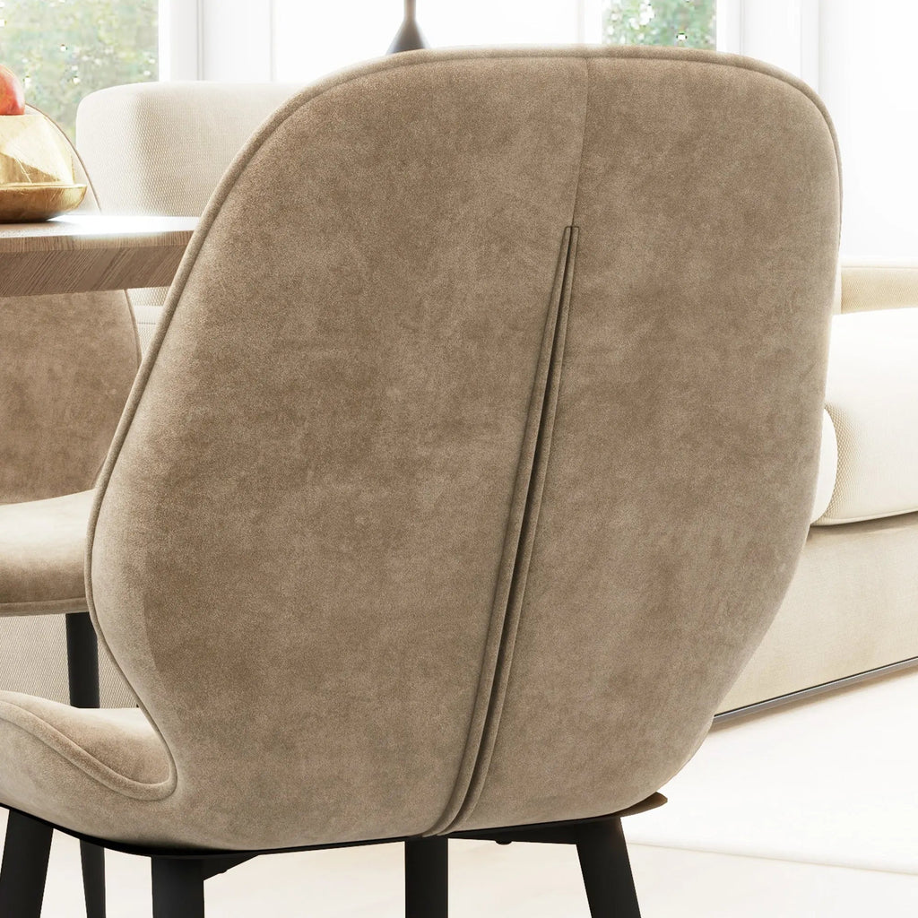 Ray Velvet Dining Room Chair (Set of 2)